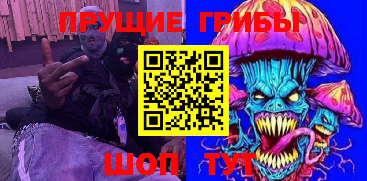 Галлюциногенные грибы Psilocybine cubensis Киселёвск