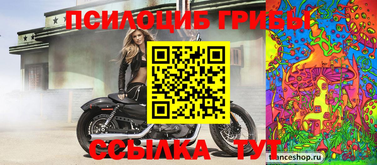 Галлюциногенные грибы MAGIC MUSHROOMS  Вход с VPN  что такое   Киселёвск 